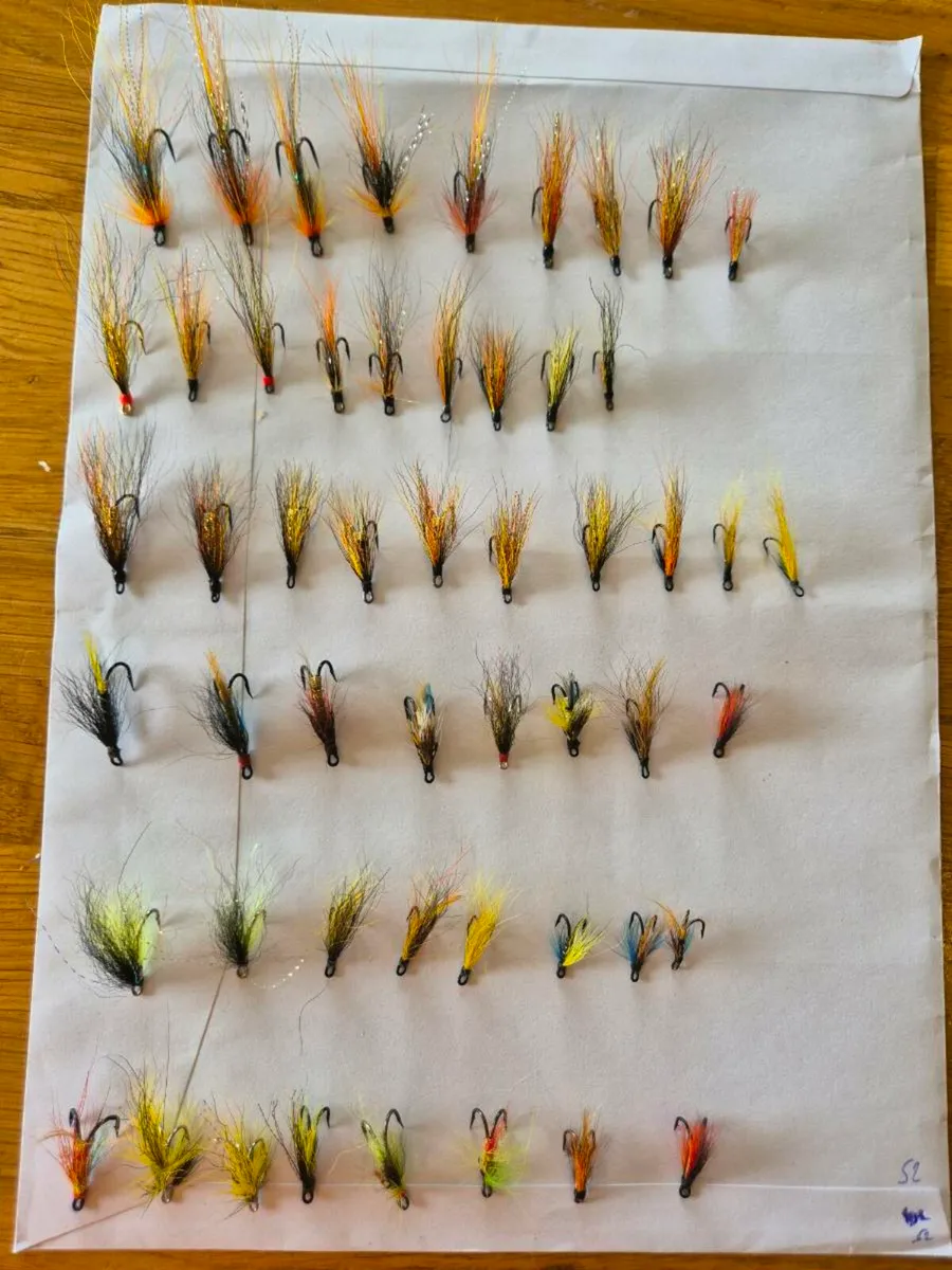 Salmon flies - Image 1