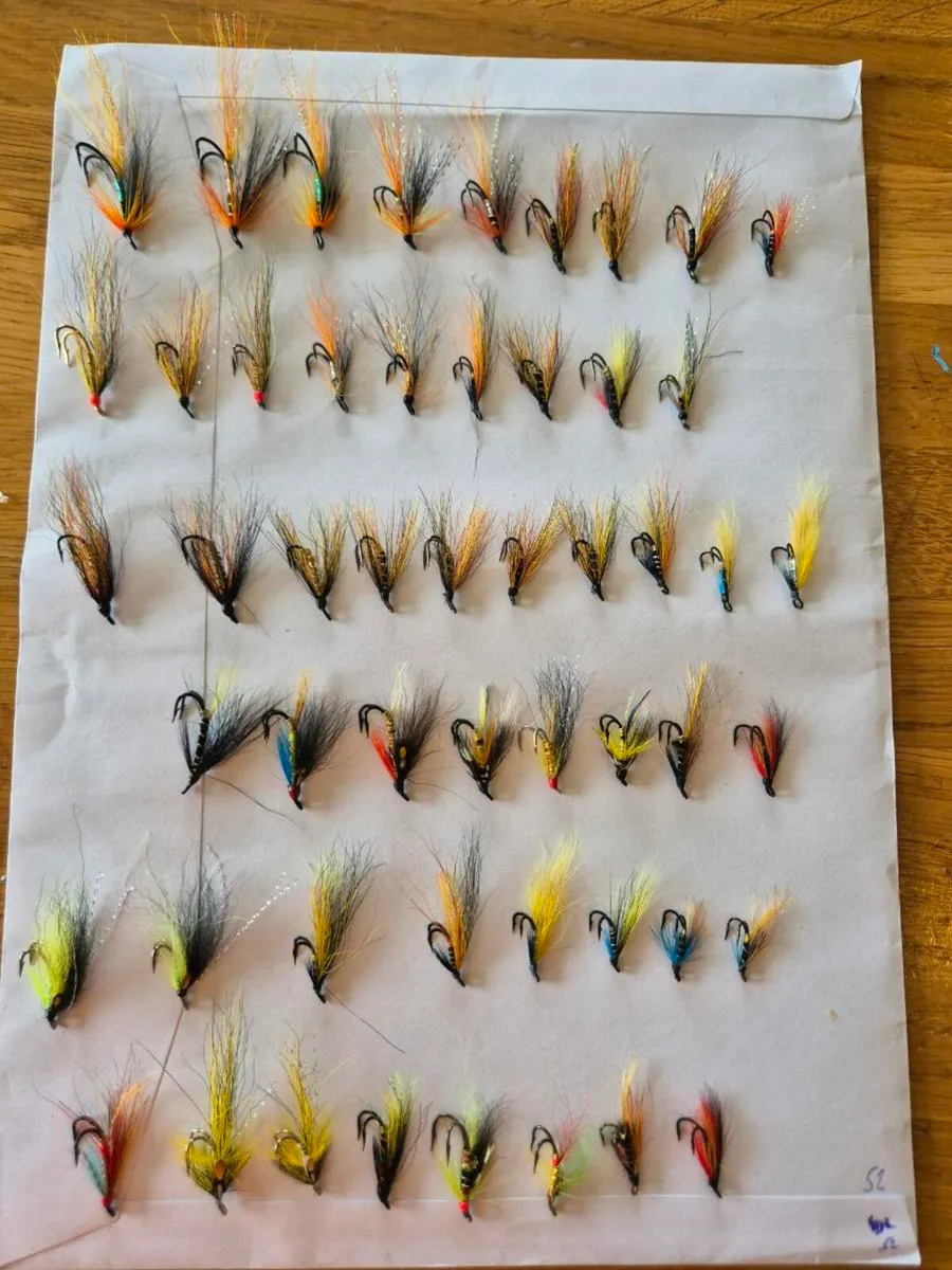 Salmon flies - Image 2