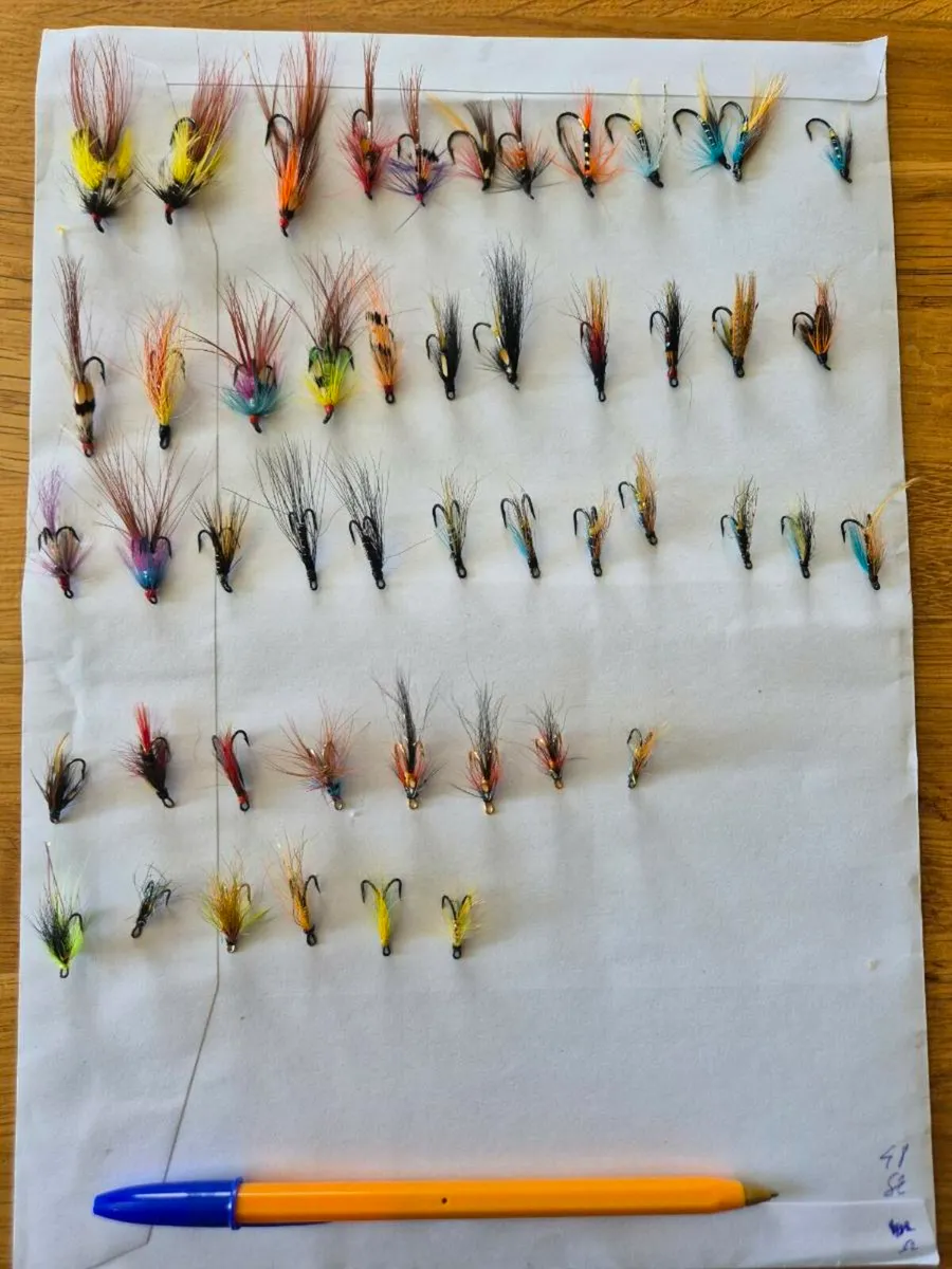 Salmon flies - Image 3