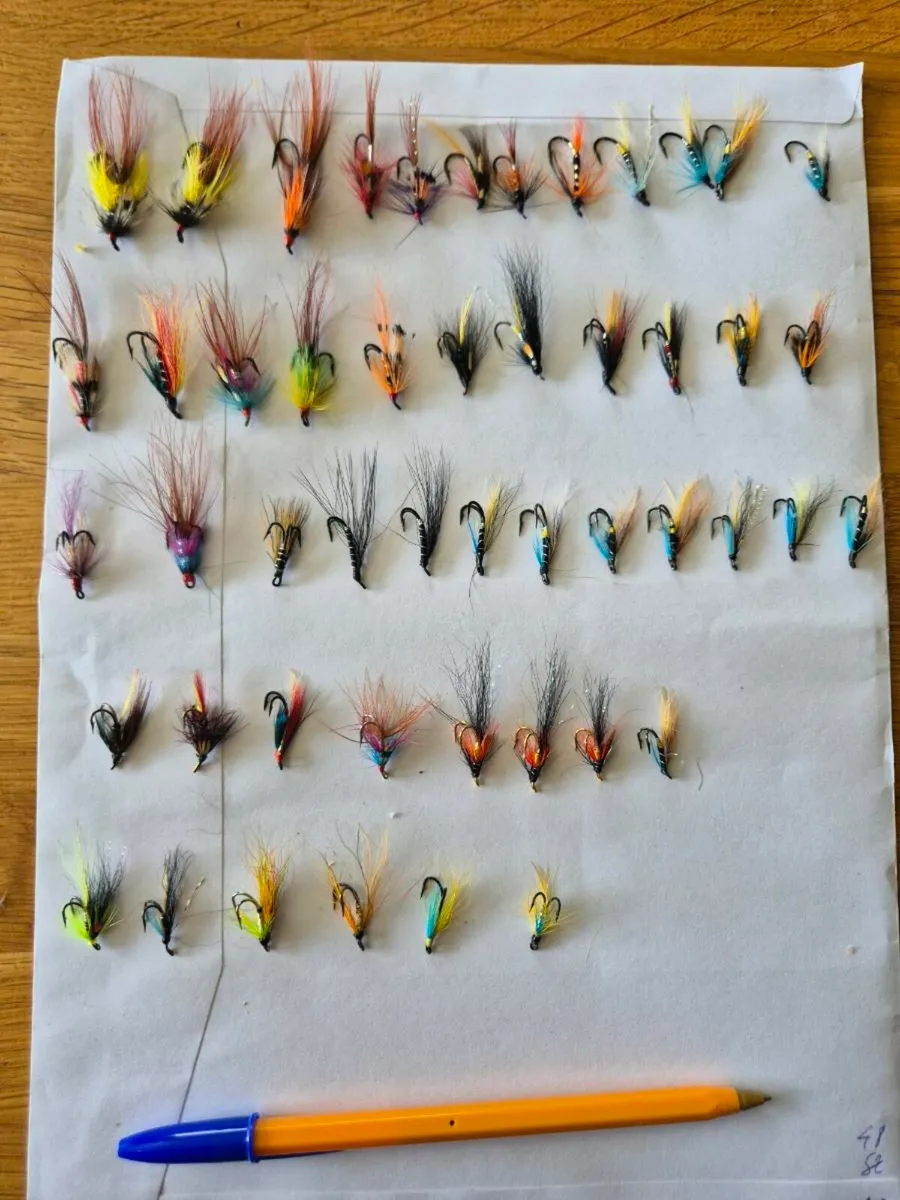 Salmon flies - Image 4