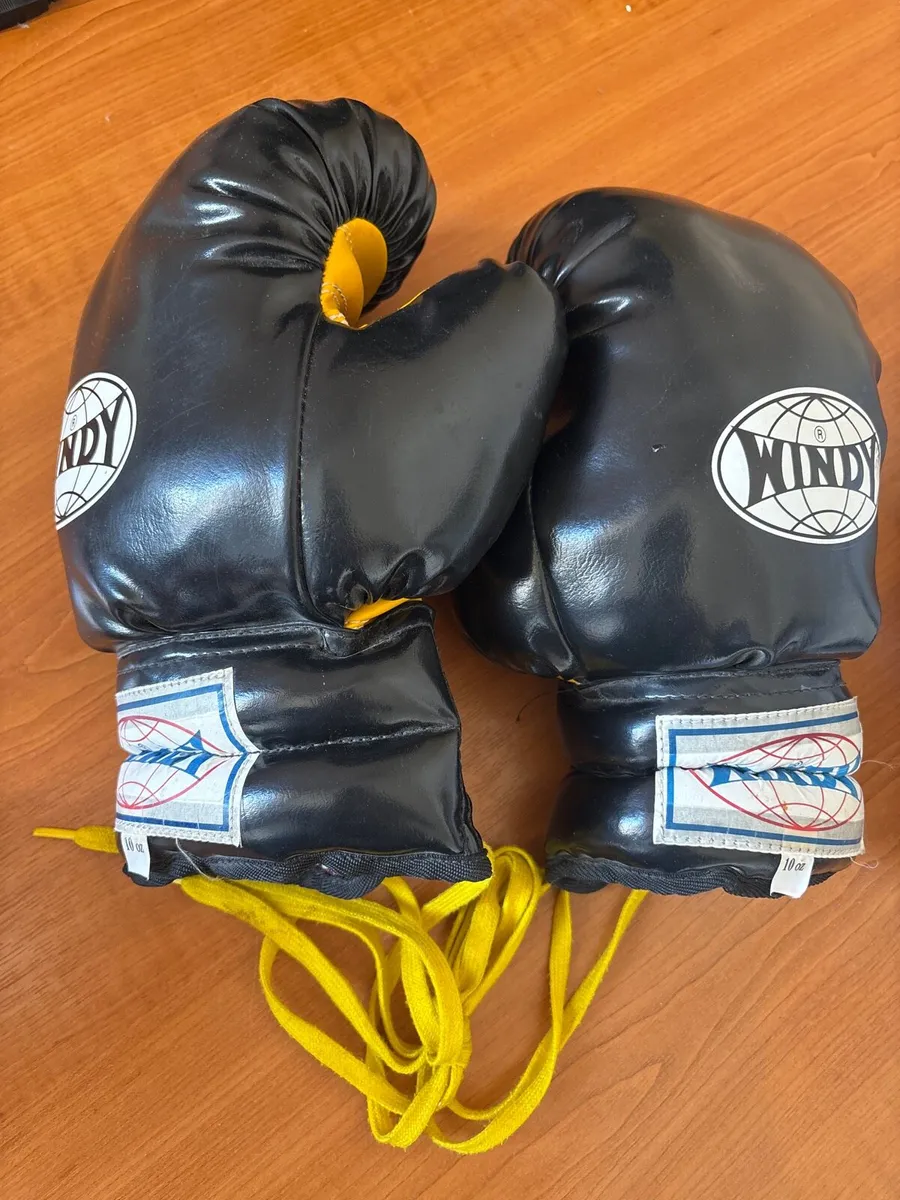 Boxing gloves 10 oz - Image 1