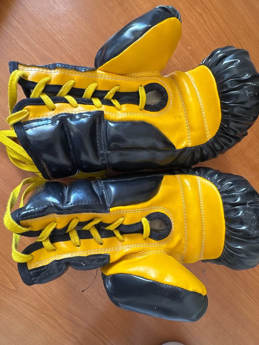 Boxing gloves 10 oz - Image 2