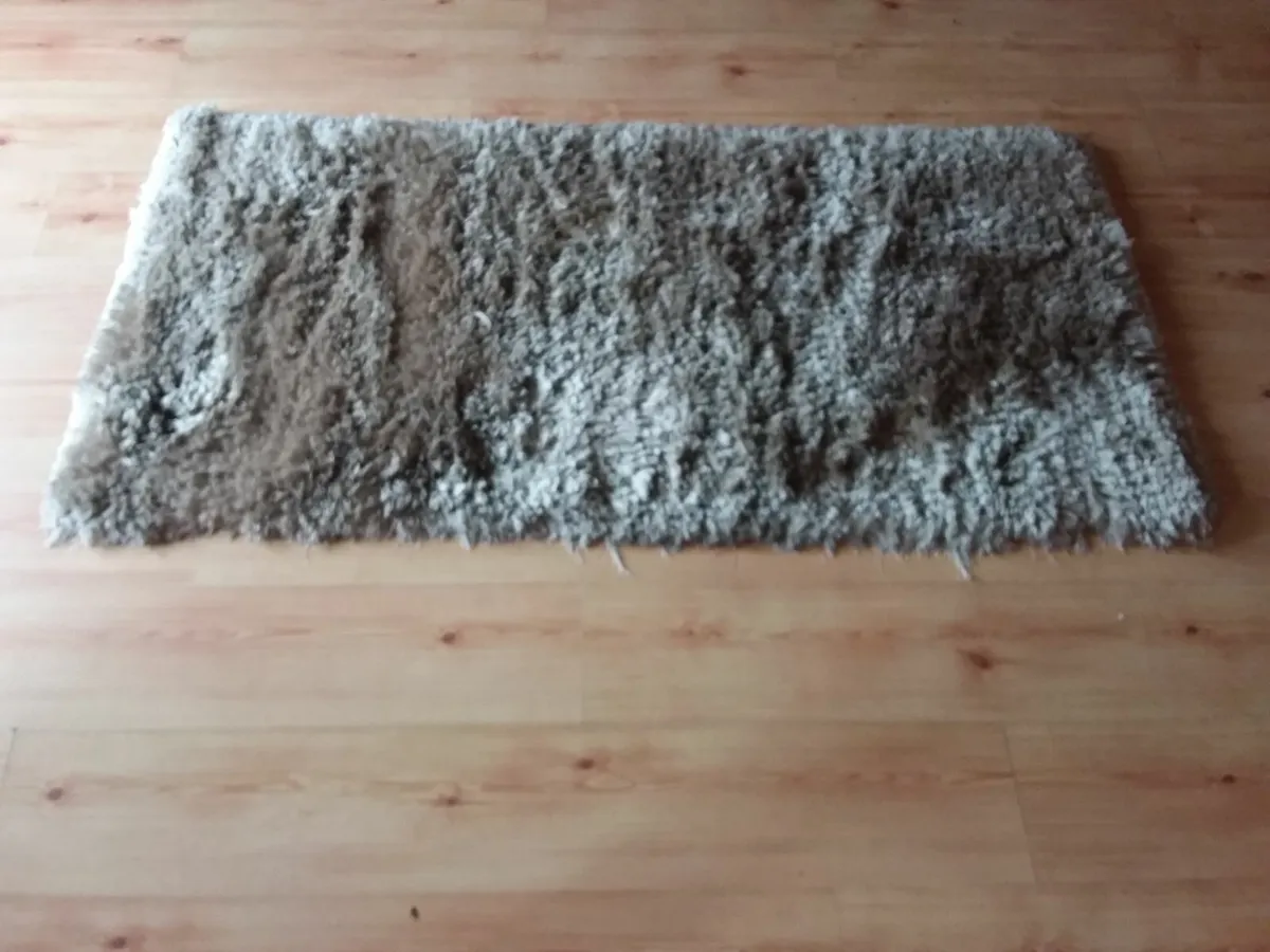 House Rug - Image 1
