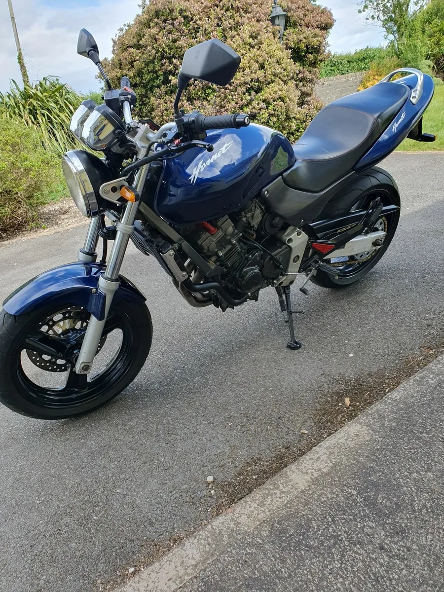 Honda cb250 hornet 1999 - Image 2