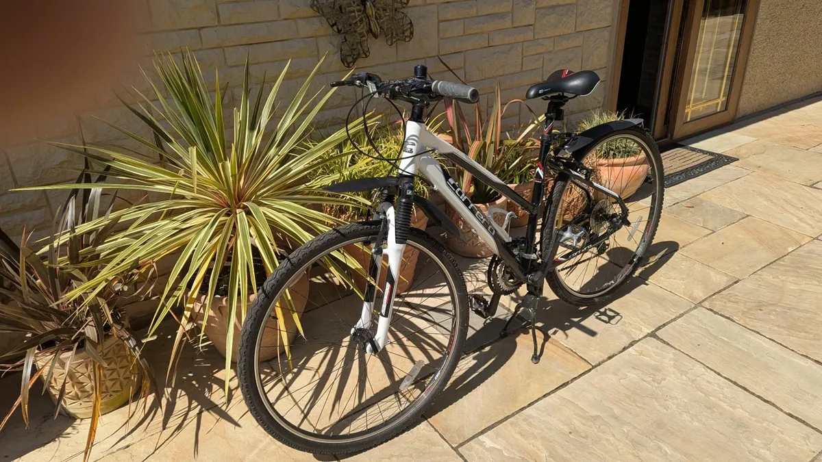 Bike - Image 4