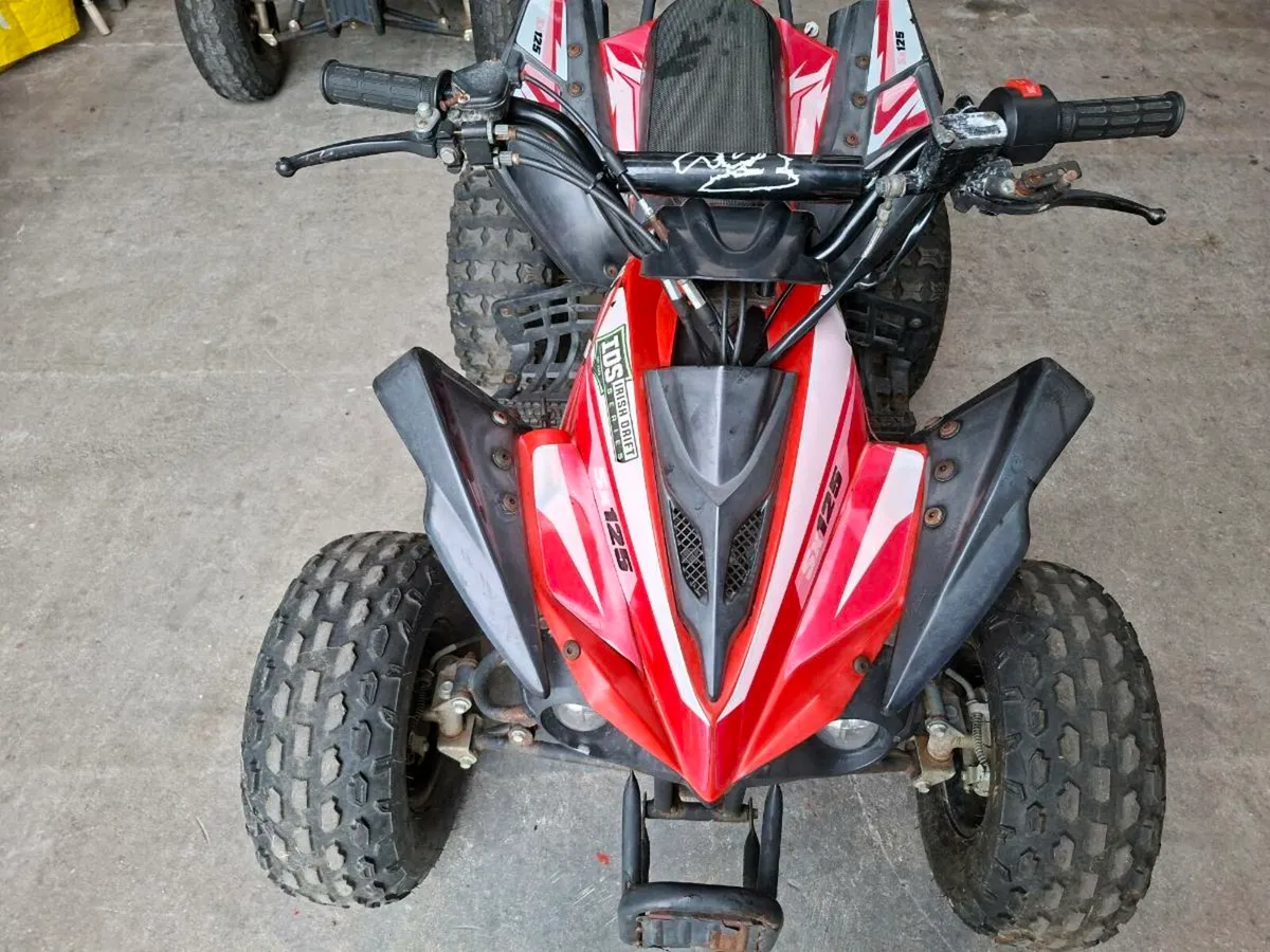 Fox 125 kids quad - Image 3