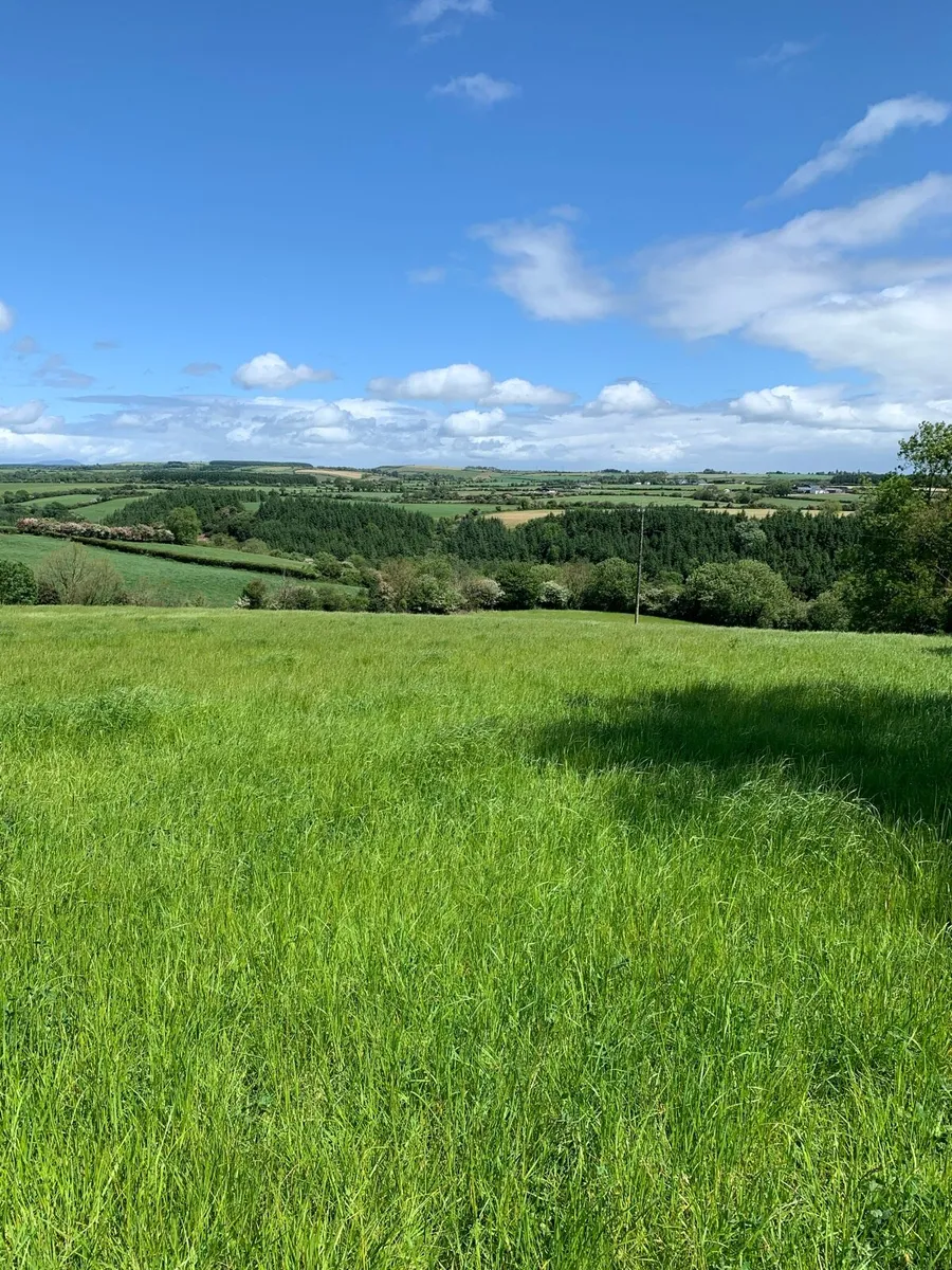 Silage - Image 1