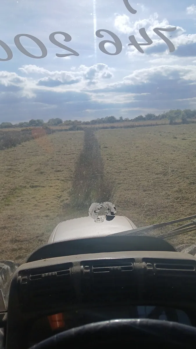 Mulching for Hire - Image 3