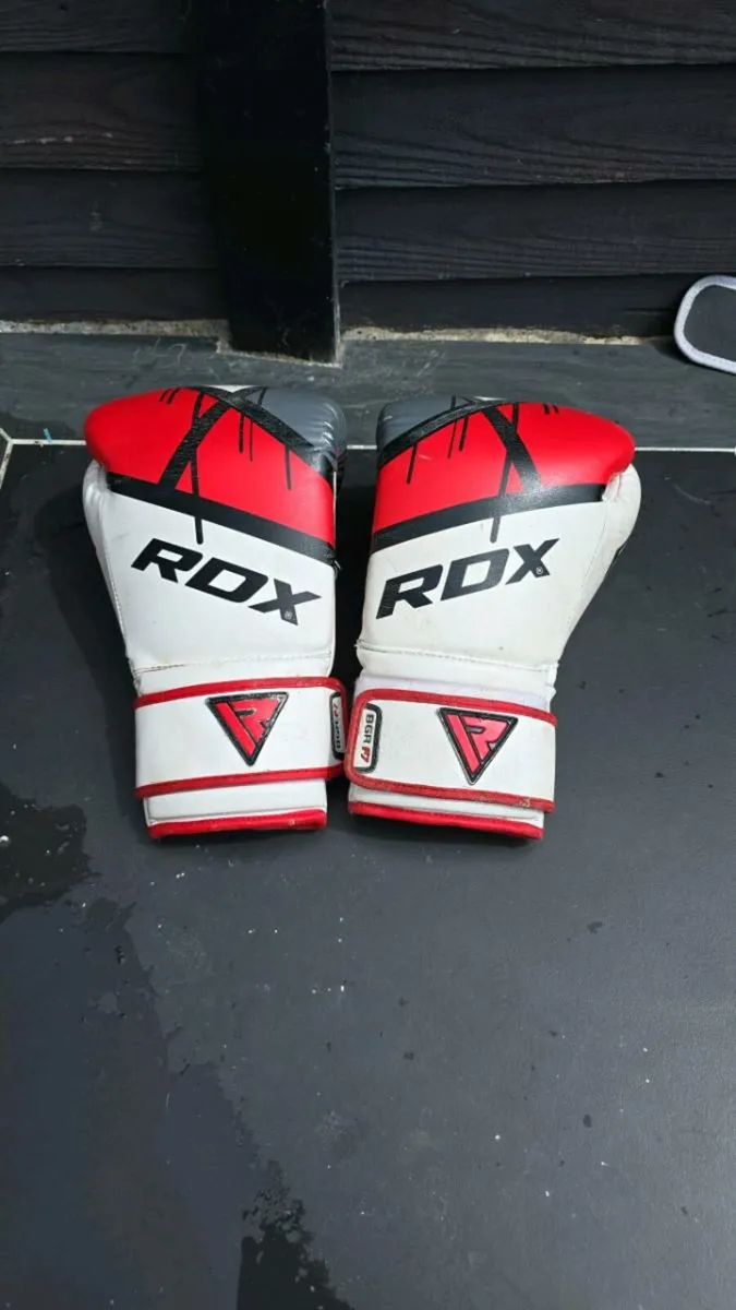 Boxing gear - Image 2