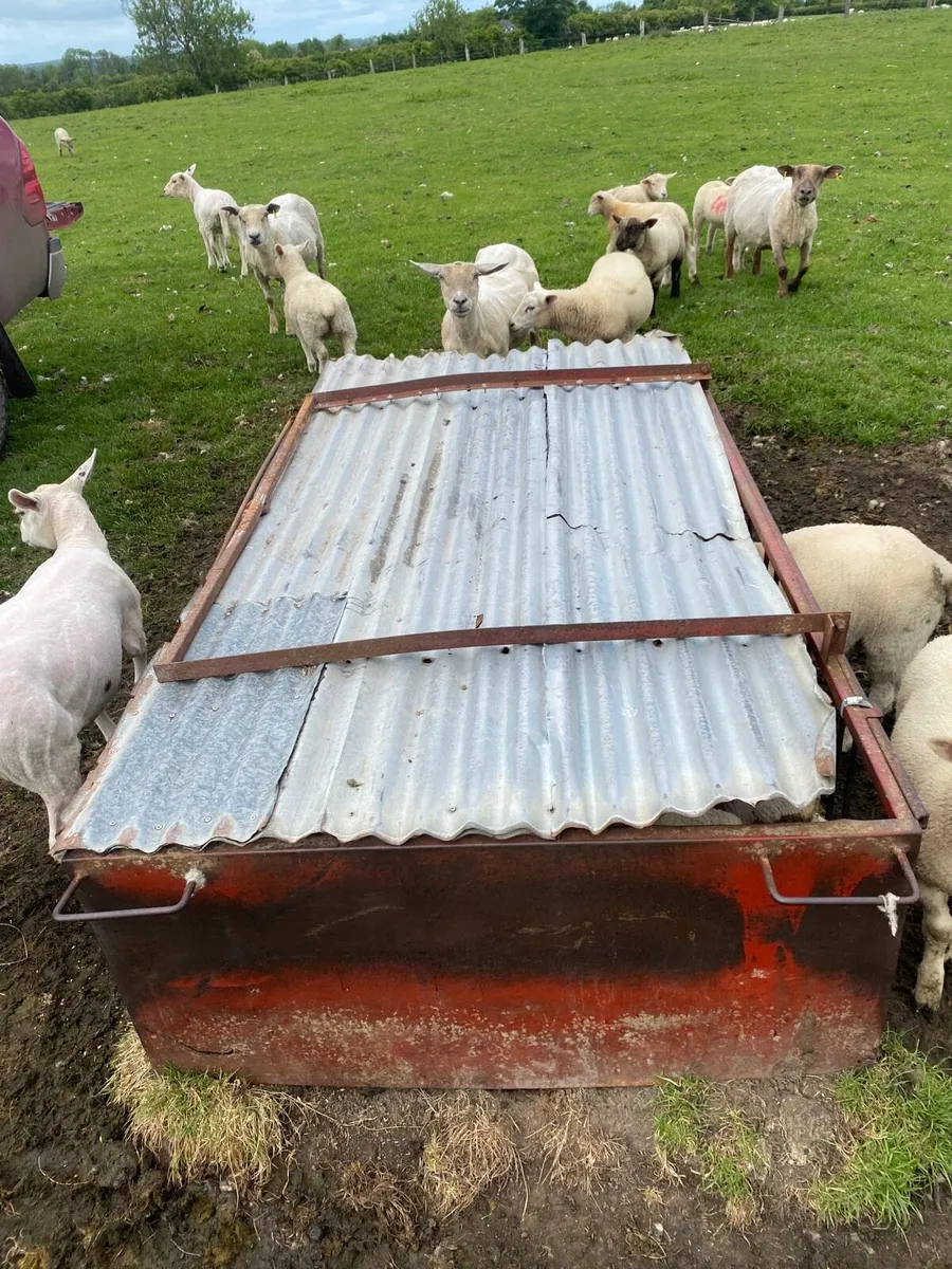 Lamb creep feeders - Image 3