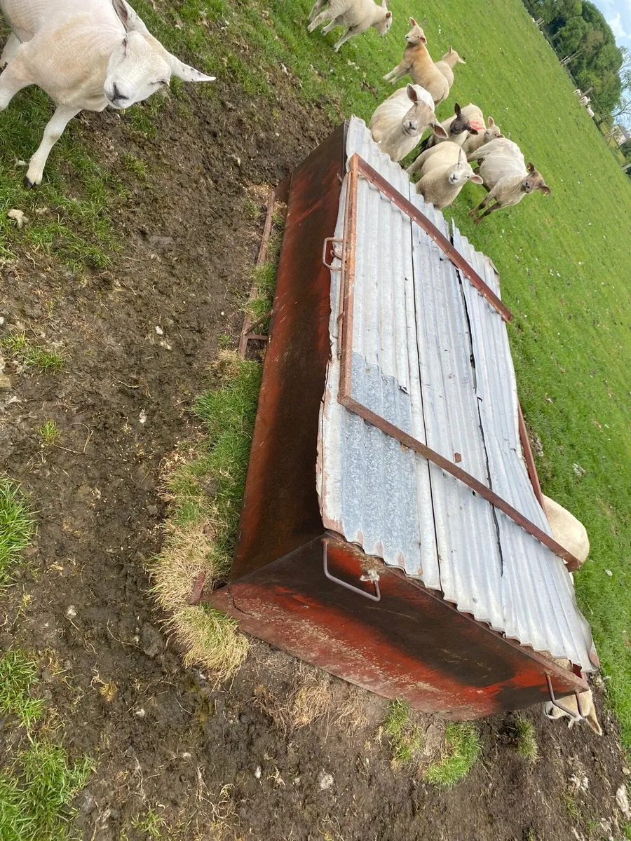 Lamb creep feeders - Image 2