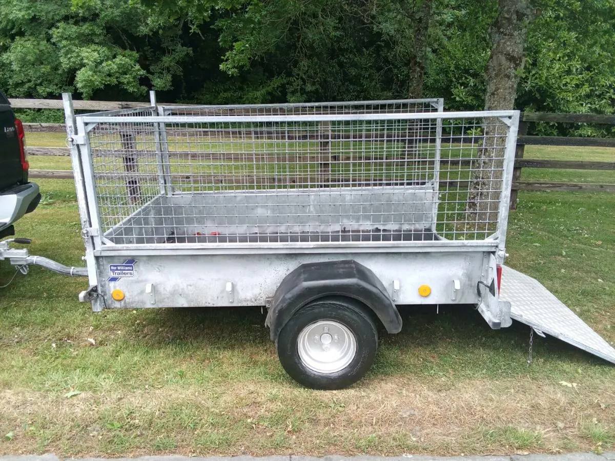 Ifor Williams 7x4 Mesh Trailer - Image 4