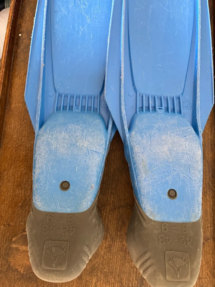 Technisub Snorkelling fins.  Size  8-9   42-43 - Image 2
