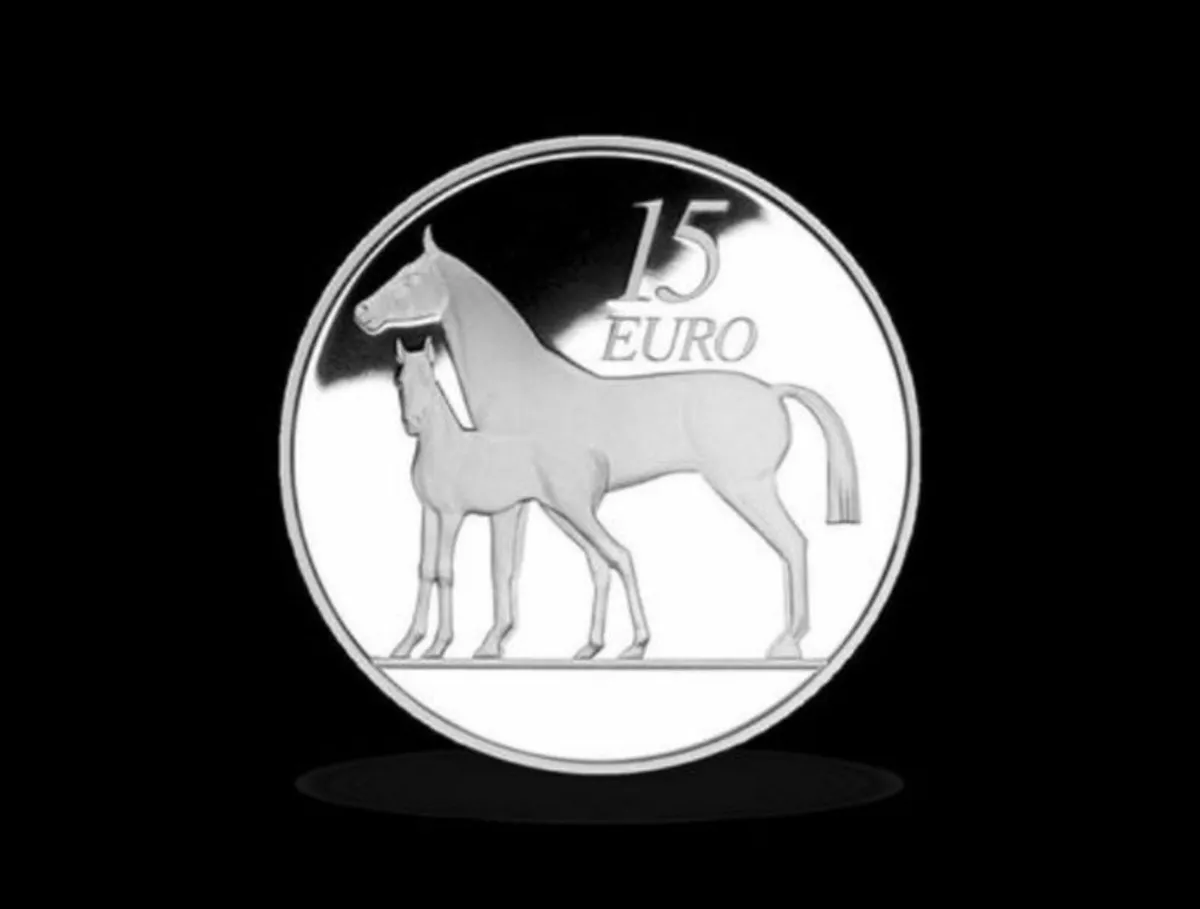 Silver Proof, Irish Hunter, Free Post - Image 1