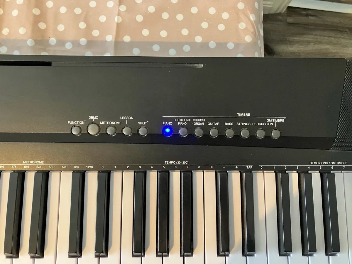 McGrey BS-88 Piano Keyboard with 88 weighted keys - Image 2