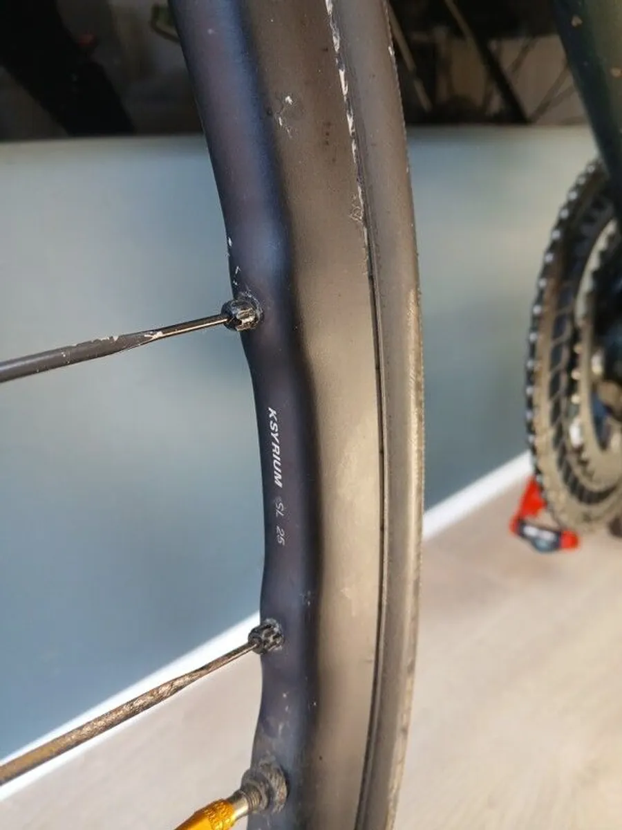 giant defy - Image 4