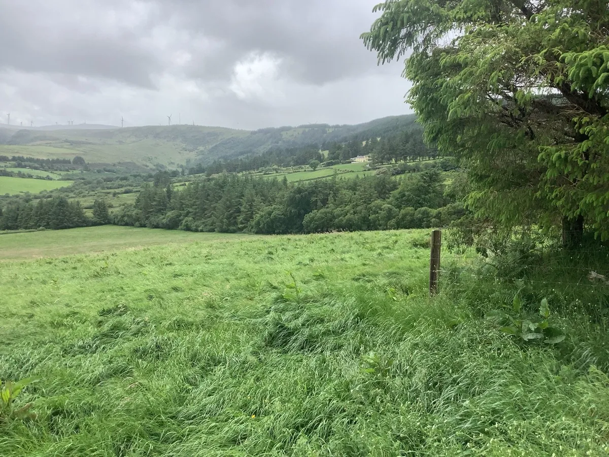 Silage - Image 1