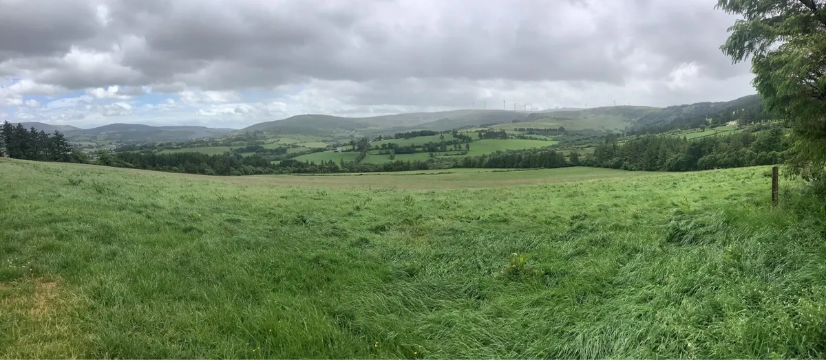 Silage - Image 4