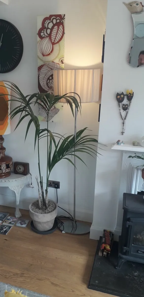 Stylish floor lamp free to take away - Image 3
