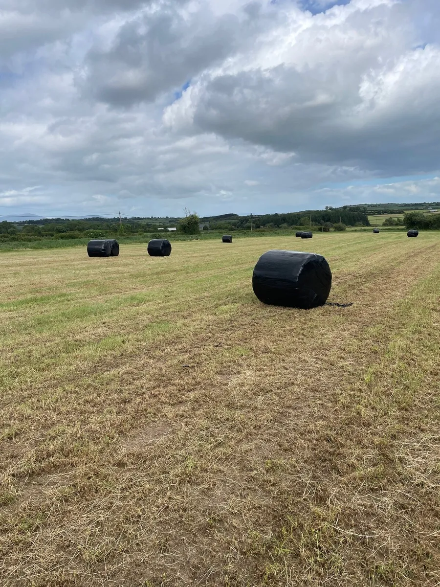 Haylage - Image 4