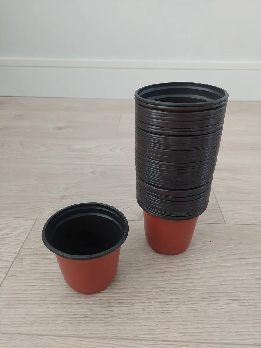 A pack of plant nursery pot- 4inch ( 70 pots) - Image 2