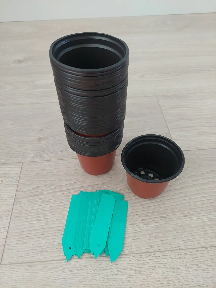 A pack of plant nursery pot- 4inch ( 70 pots) - Image 3