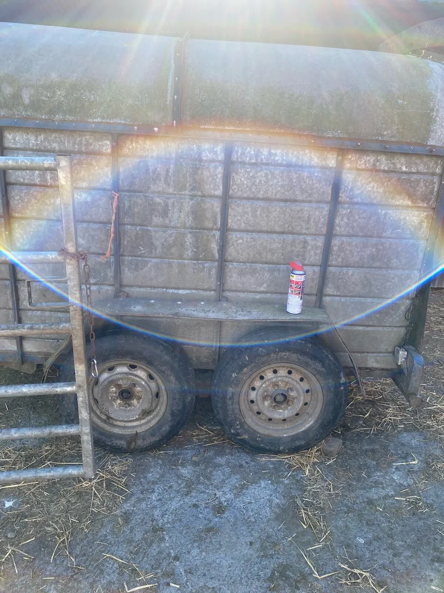 Cattle trailer - Image 2