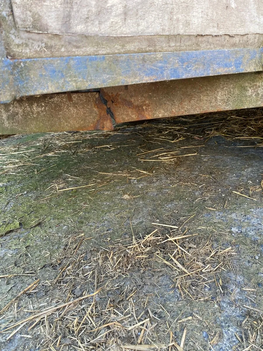 Cattle trailer - Image 4