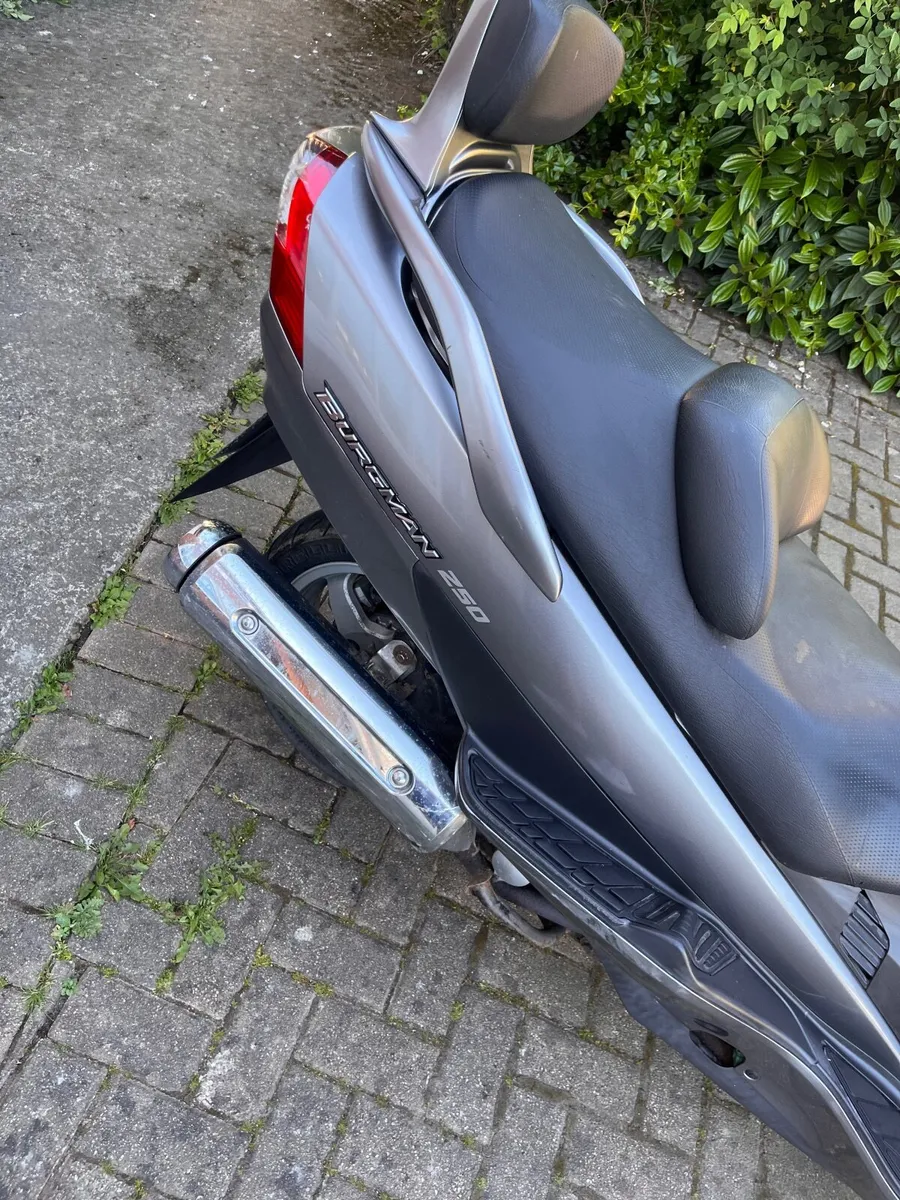 Suzuki burgman 2008 - Image 4