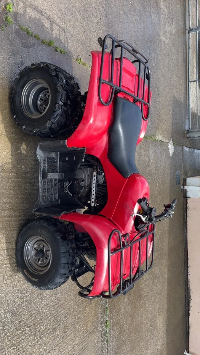 Quad - Image 2