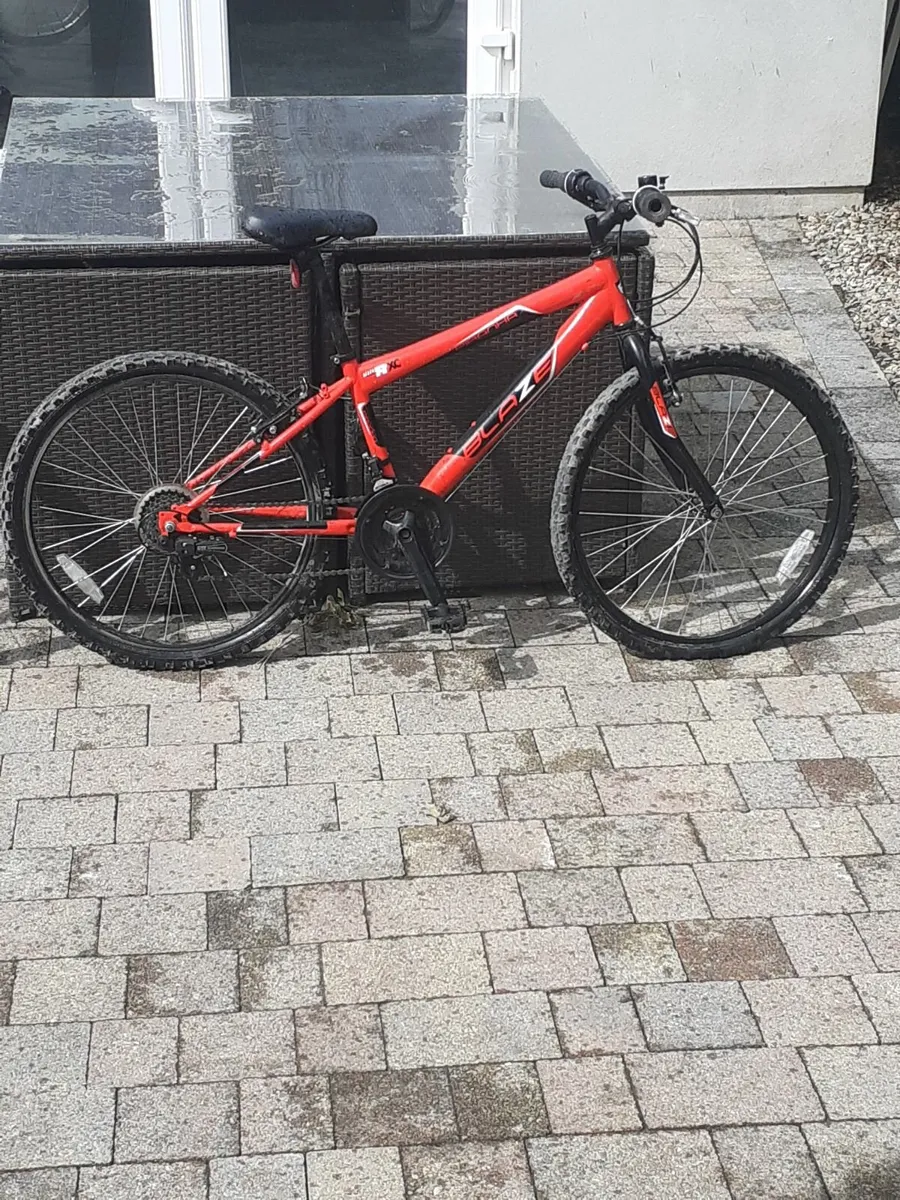 2 bicycles - Image 1