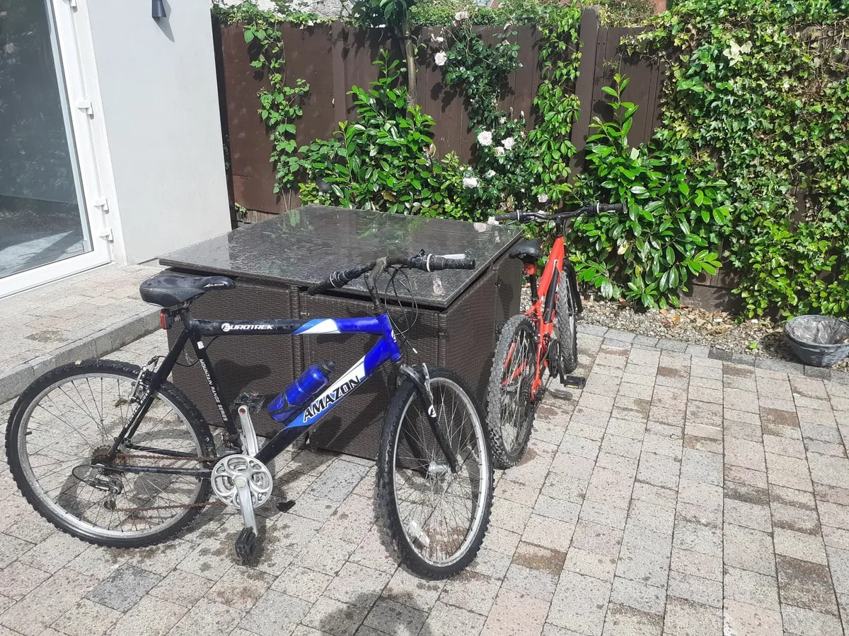 2 bicycles - Image 2