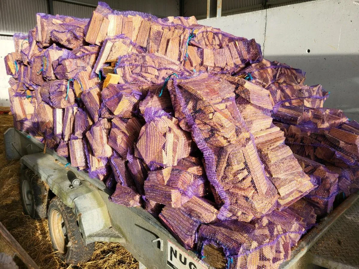 Firewood - Image 1