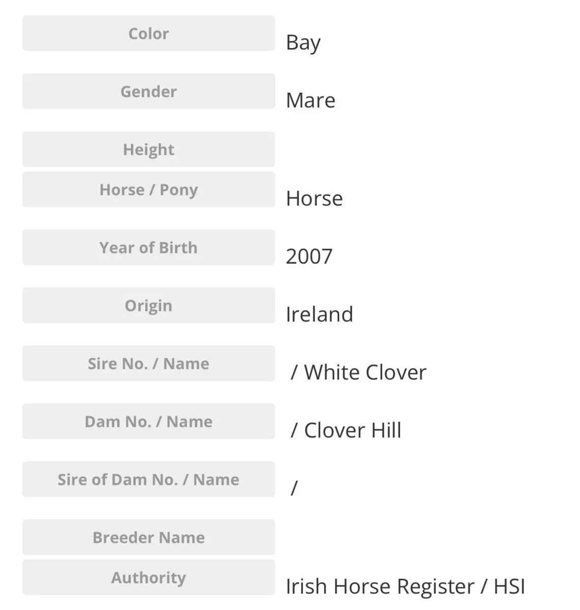 Traditional bred Mare - Image 3