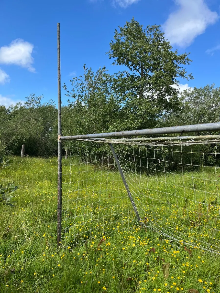 Metal Goal Posts - Image 3