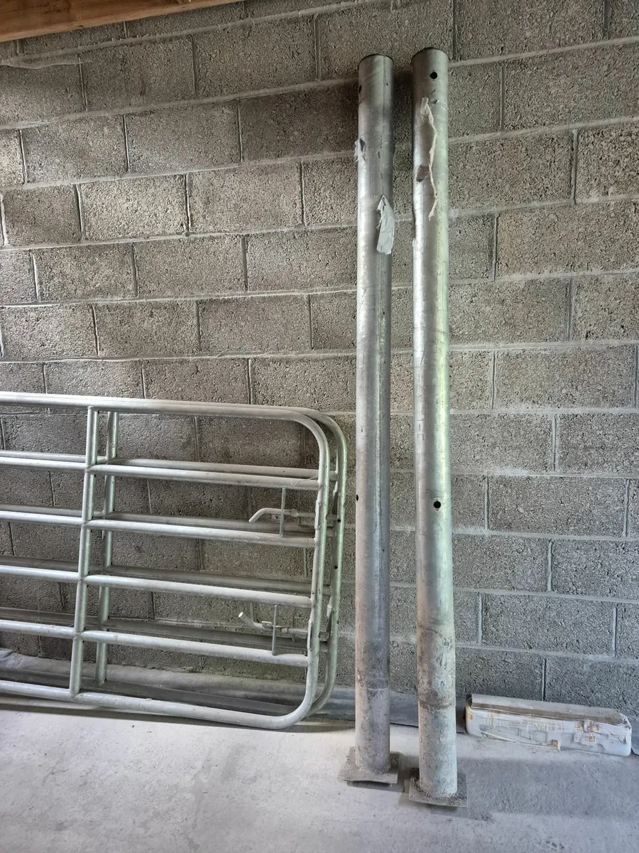 Gate and Posts - Image 3