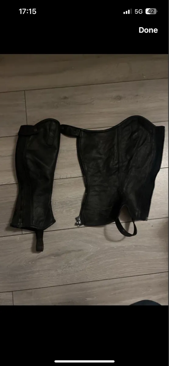 Riding Half chaps - Image 1