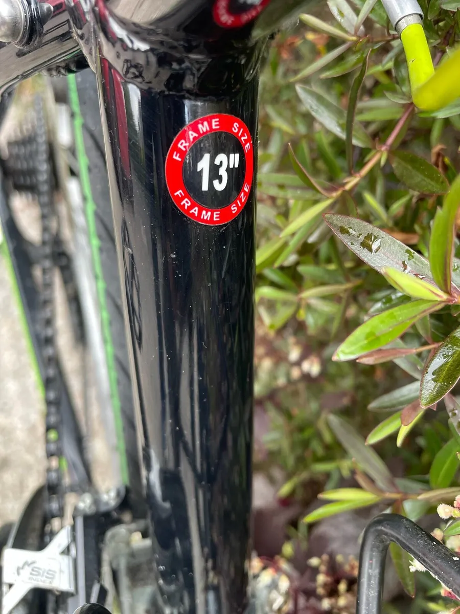 Carrera Abyss 26” wheels 13” frame - Image 2