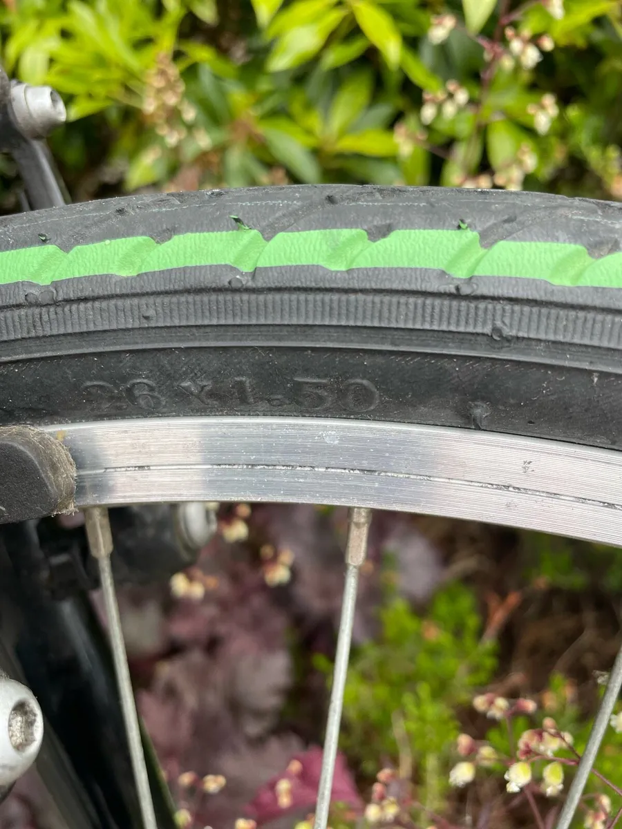 Carrera Abyss 26” wheels 13” frame - Image 4