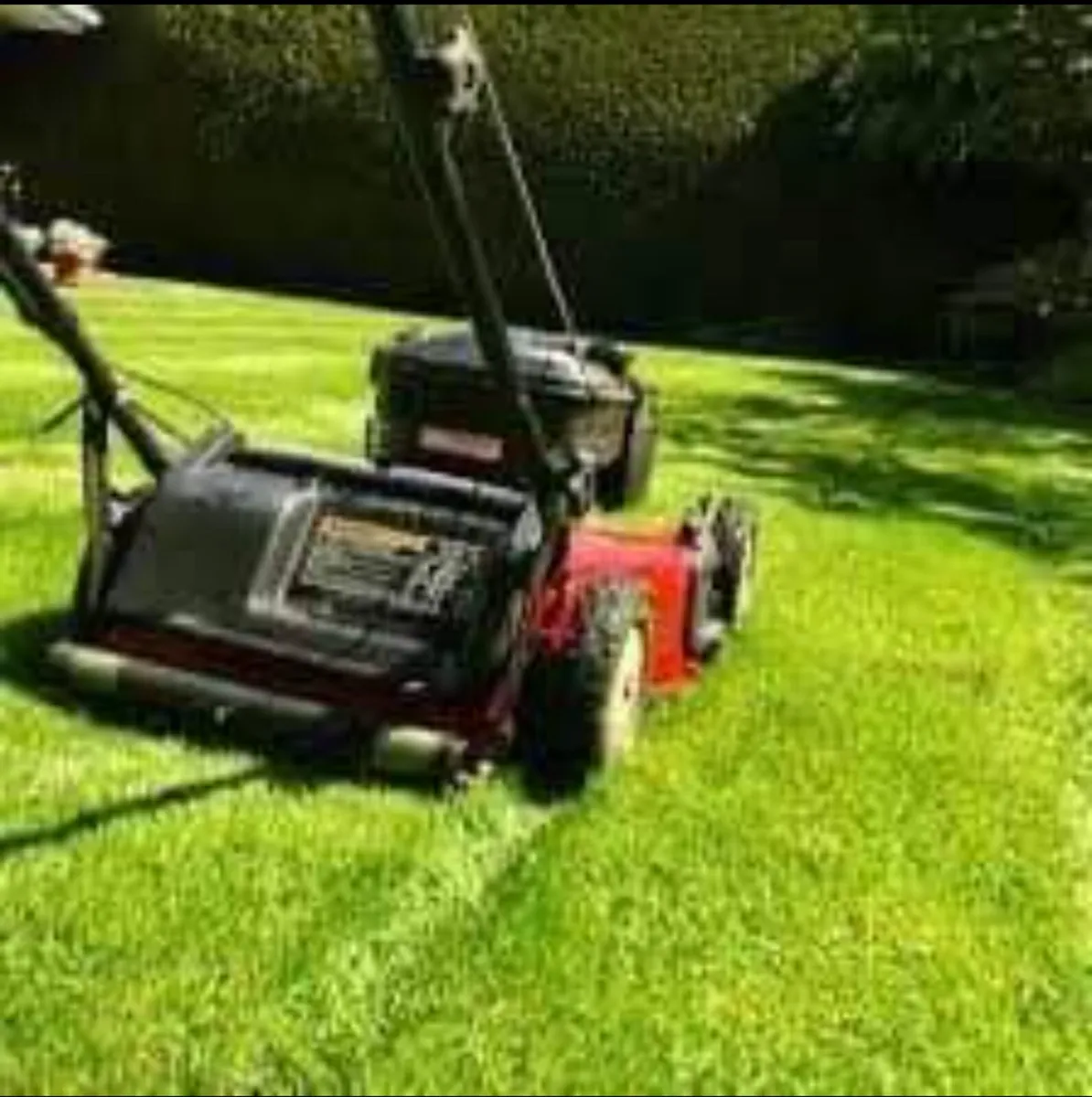 Garden jobs - Image 2