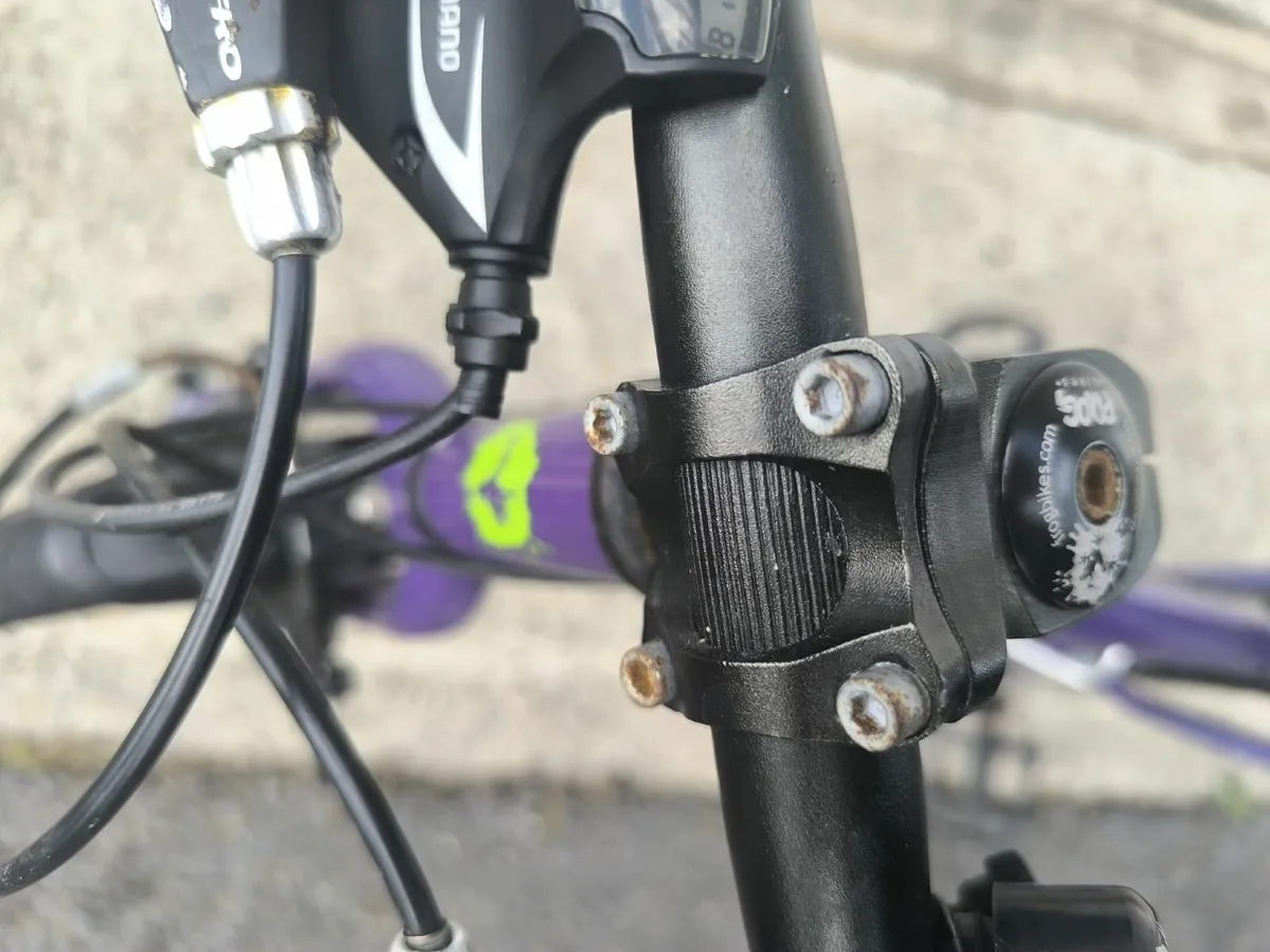 Frog 52 Bike (for age 5-7 years) - Image 4
