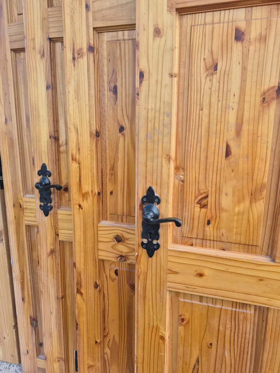 Intenal doors - Image 1
