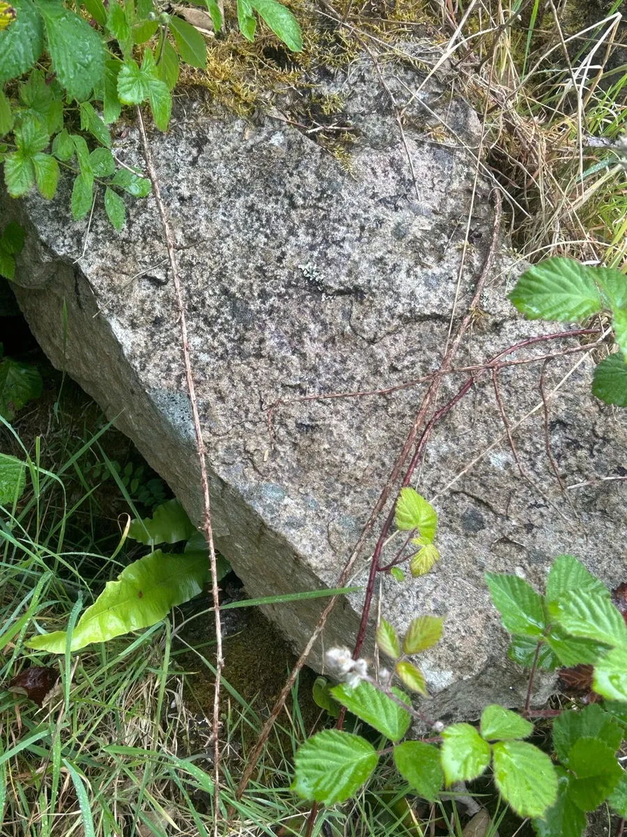 Old Limestone & Granite Building Stone - Image 2