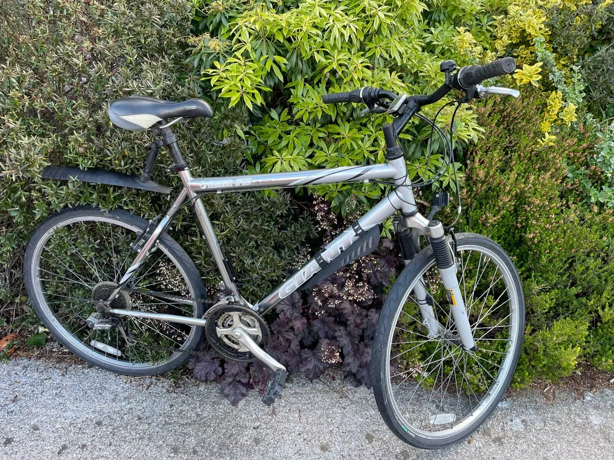 Giant Mtb/ Hybrid 20” frame 26” wheels - Image 1