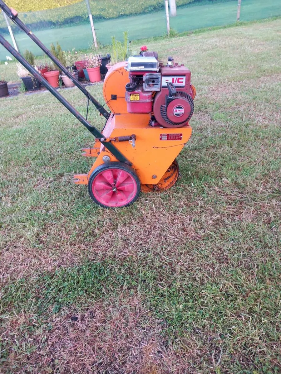 Sisis auto- greenman - Image 1