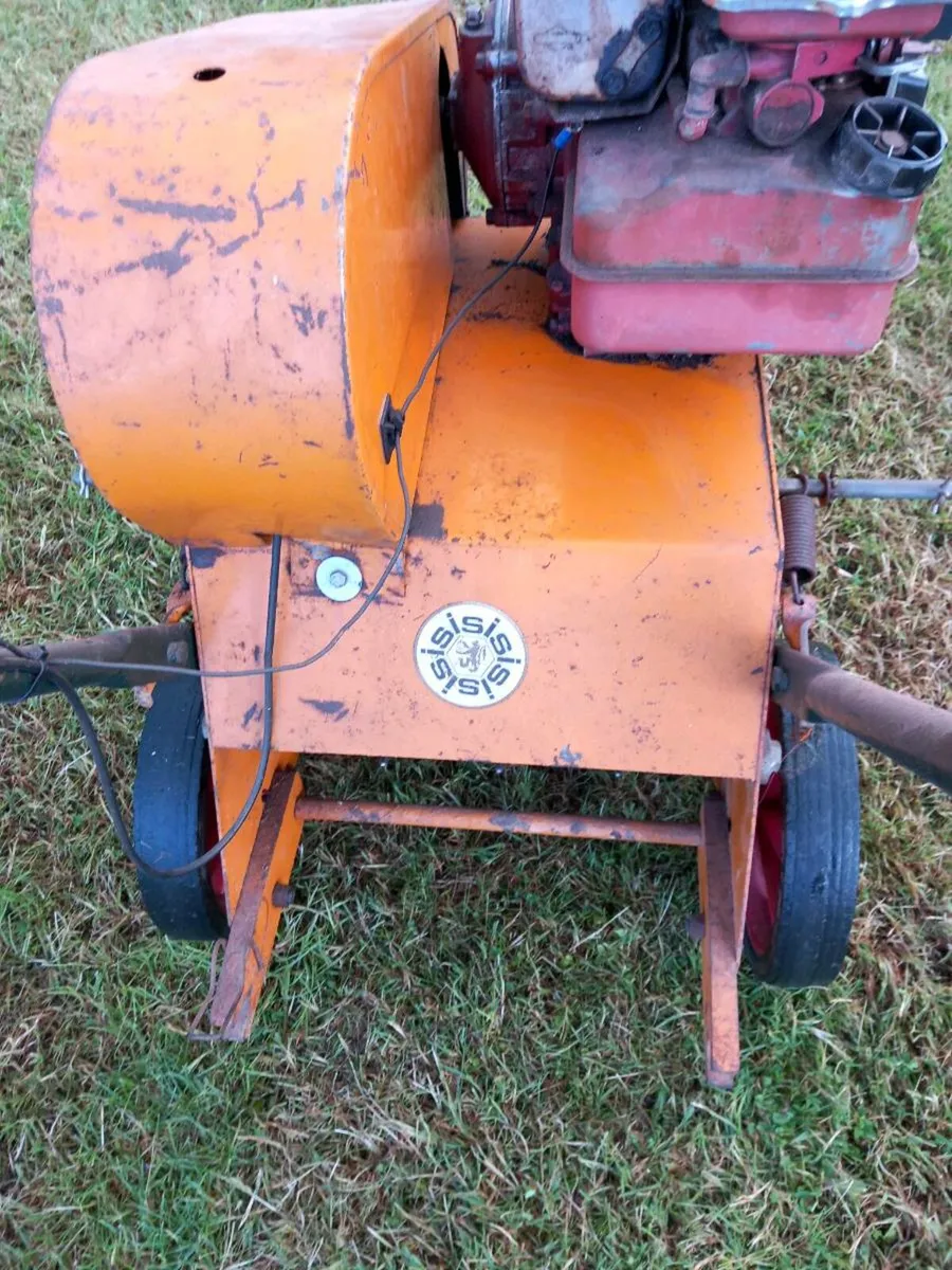 Sisis auto- greenman - Image 4