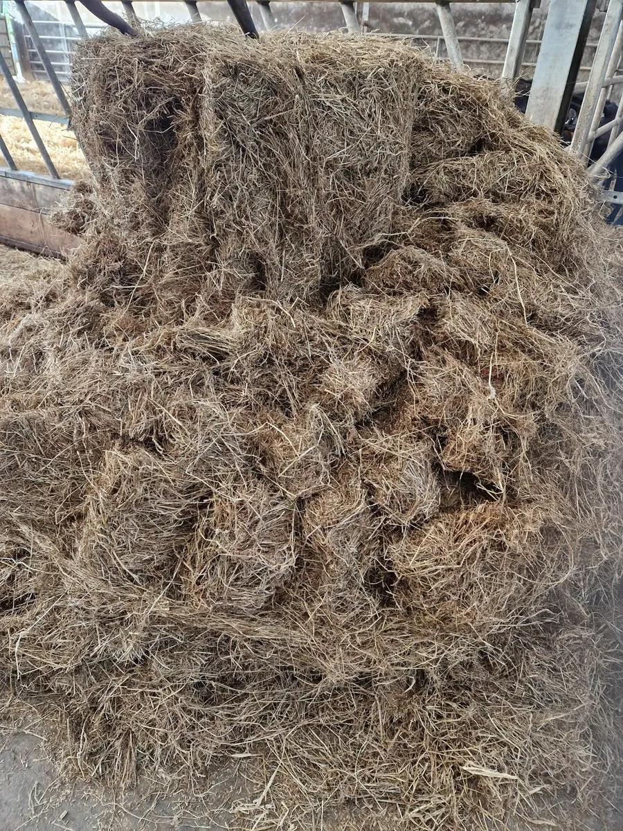 2024 1st Cut Silage Bales - Image 3