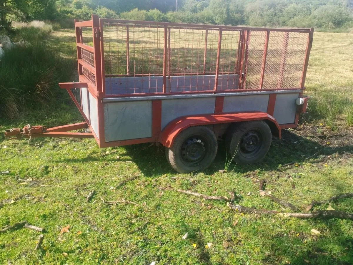 8x4 mesh trailer - Image 1