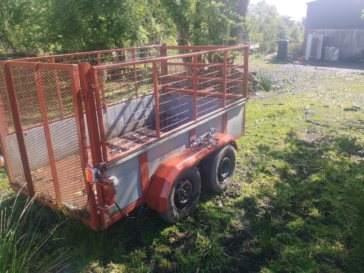 8x4 mesh trailer - Image 2