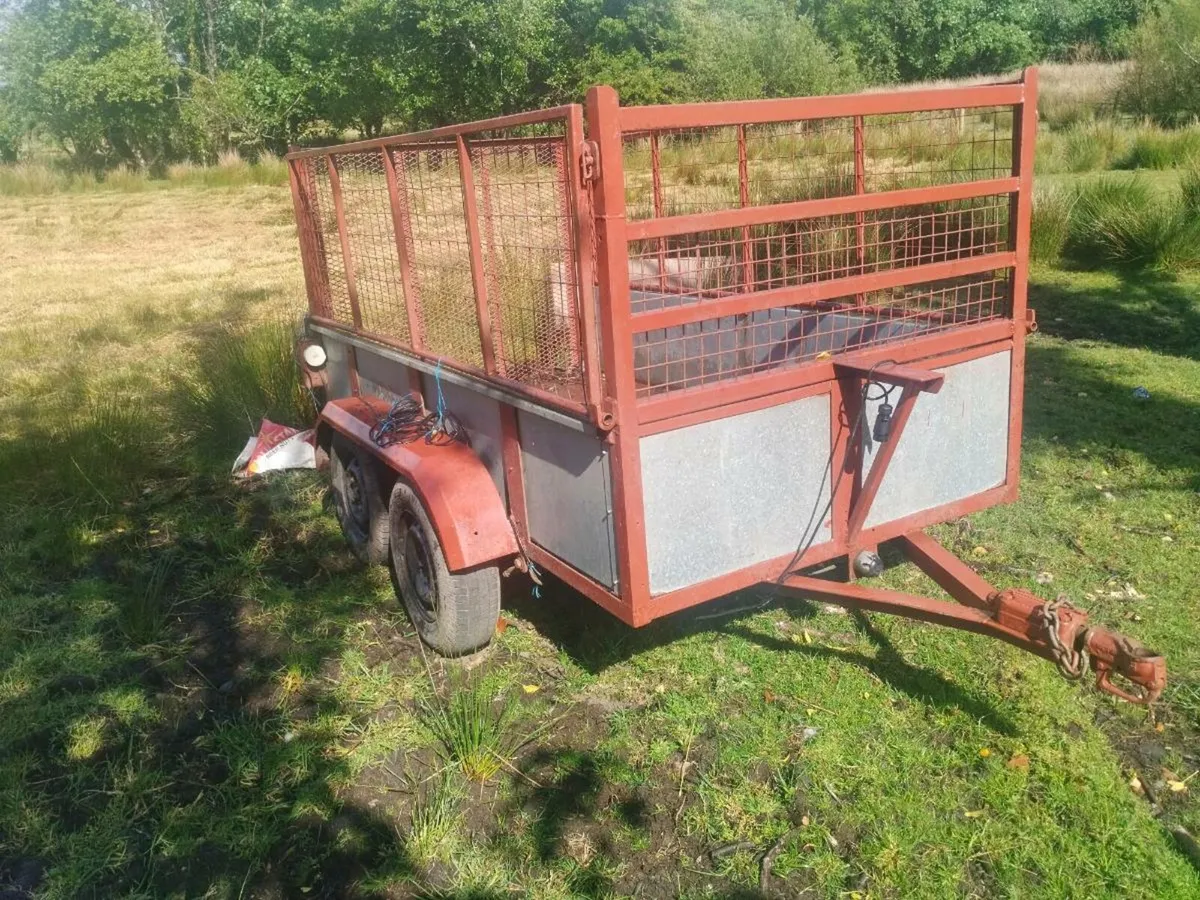 8x4 mesh trailer - Image 3